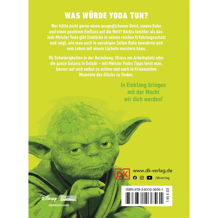 23033_star-wars-discover-the-yoda-in-you-main2.jpg