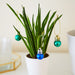 productImage-15946-weihnachtsschmuck-fuer-zimmerpflanzen-3.jpg