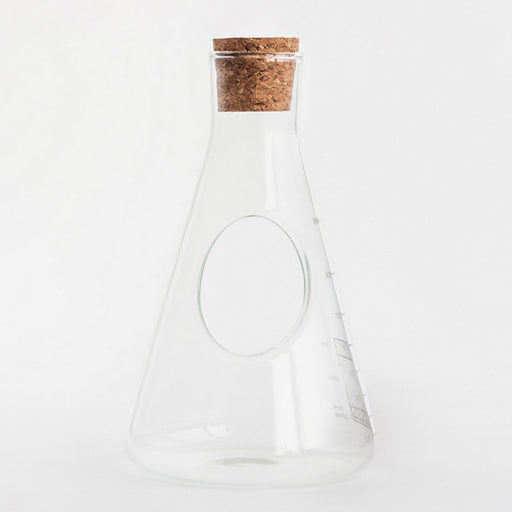 Laboratoriumglas terrarium kweekset in erlenmeyer