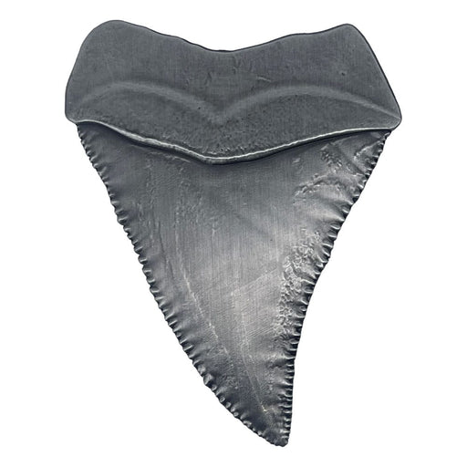 Jaws Collectible Medallion Shark Tooth