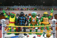 Teenage Mutant Ninja Turtles Stump Wrestling Pack de 4 Figurines Articulées (Archie Comics)